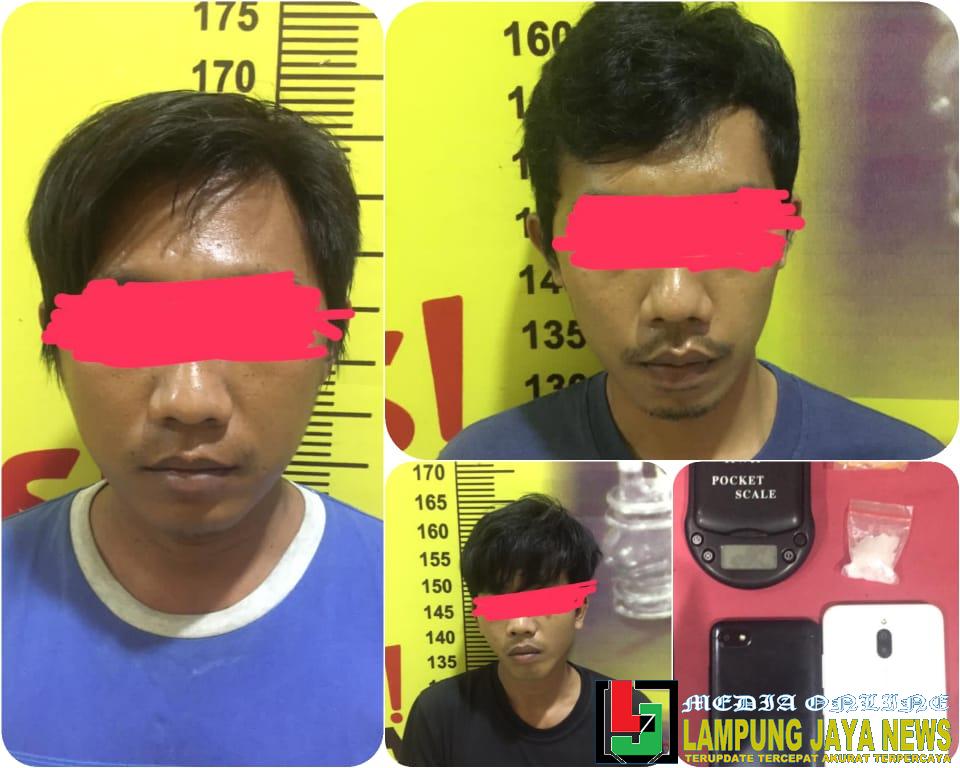 Diduga Pelaku Pengedar Sabu, Tiga Pemuda Warga Gedong Tataan ditangkap Polisi