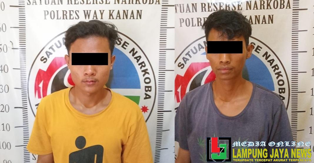 Diduga Edarkan Narkoba Jenis Sabu, Dua Pemuda diamankan Polisi