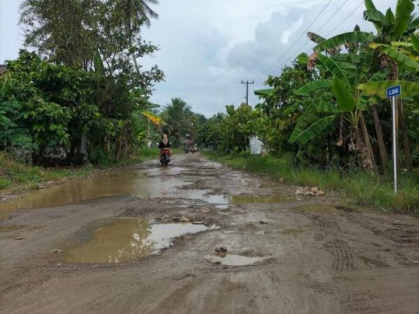 Jalan Empat Pekon Di Kecamatan Semaka Mirip Kubangan Kerbau