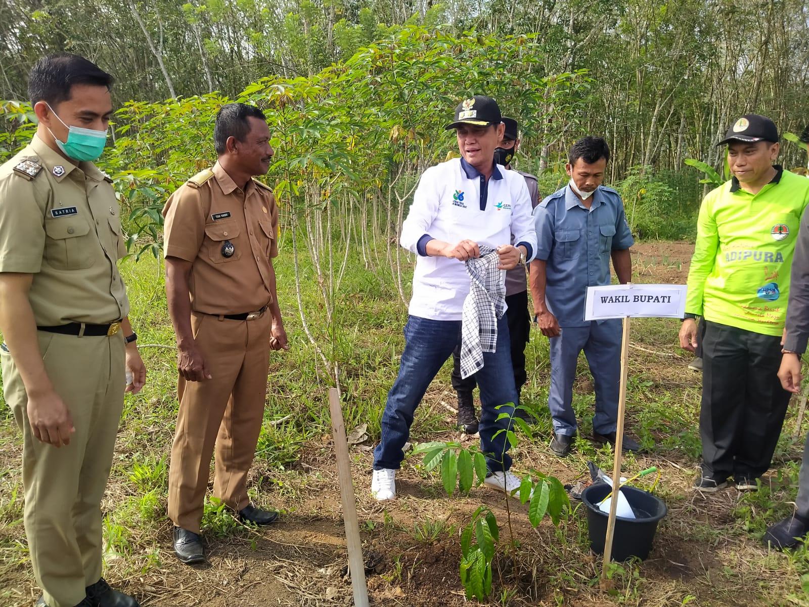 Peringati Hari Lingkungan Hidup Sedunia, Wakil Bupati Menanam 250 Bibit Pohon