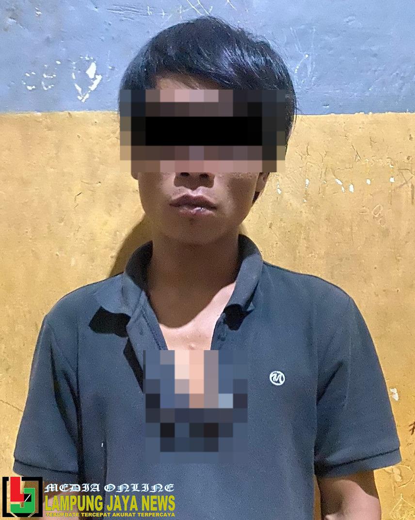 Diduga Pelaku DPO Tindak Pidana Curat, Seorang Pemuda Berhasil Dibekuk Polisi