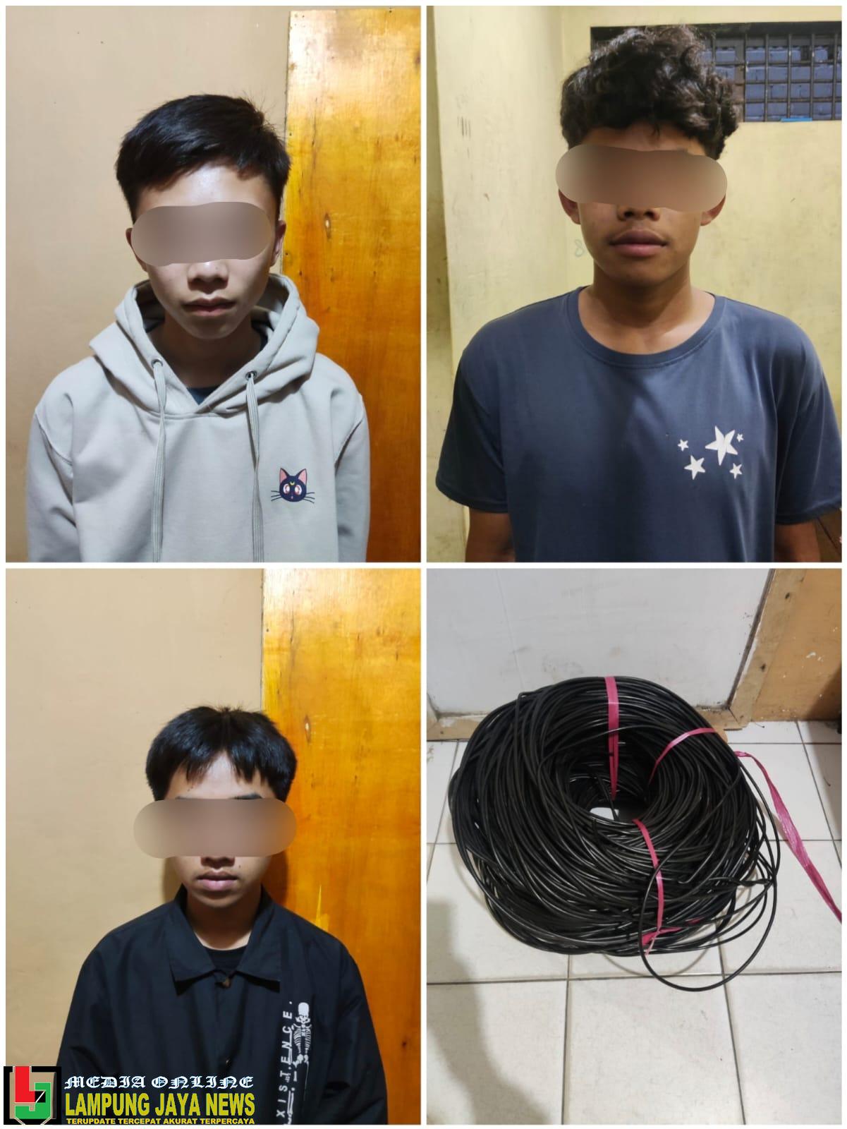 Diduga Pelaku Pencurian Kabel, Tiga Remaja Diamankan Tekab 308 Presisi Polsek Sekincau