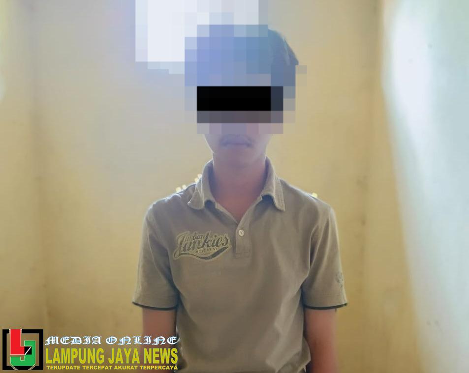 Diduga Pelaku Tindak Pidana Asusila Anak Dibawah Umur, Seorang Pemuda Diamankan Polisi
