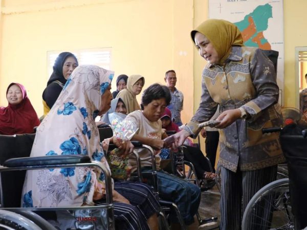 Ketua Umum PKDL Riana Sari Arinal Serahkan Bantuan Sosial Bagi Penyandang Disabilitas di Kelurahan Trimurjo
