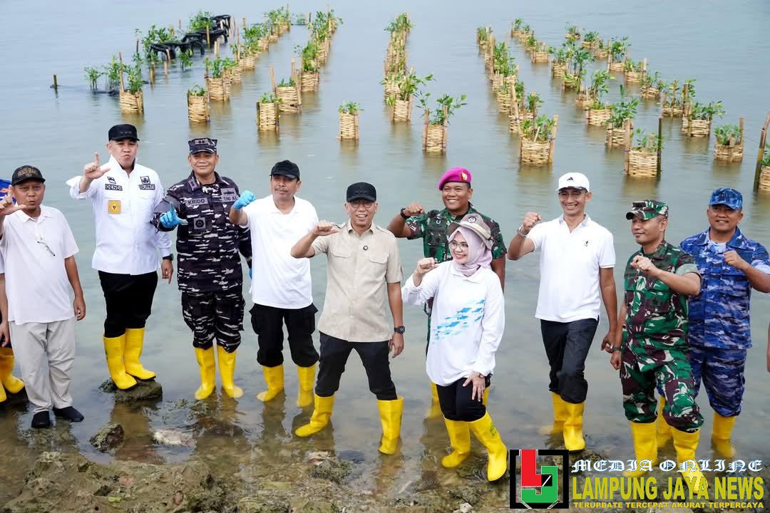 Gubernur Rahmat Mirzani Djausal Tanam Mangrove dan Tinjau Inovasi Appostrap di Pesawaran Gubernur Rahmat Mirzani Djausal Tanam Mangrove dan Tinjau Inovasi Appostrap di Pesawaran