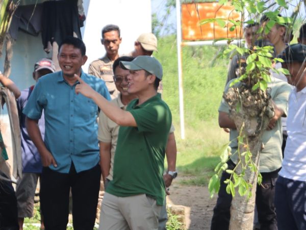 Bupati Dedi Irawan Pastikan Pembangunan Kantor Kelurahan Pasar Krui Dilaksanakan Tahun Ini