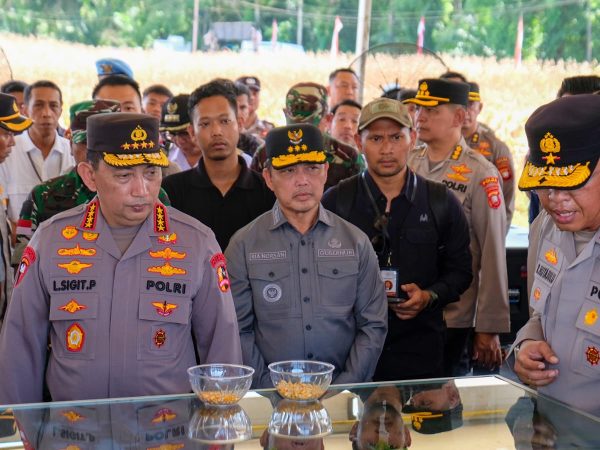 Jelang Panen Raya Jagung, Kapolri Turun Langsung Cek Lokasi Ke Kalimantan Barat Jelang Panen Raya Jagung, Kapolri Turun Langsung Cek Lokasi Ke Kalimantan Barat