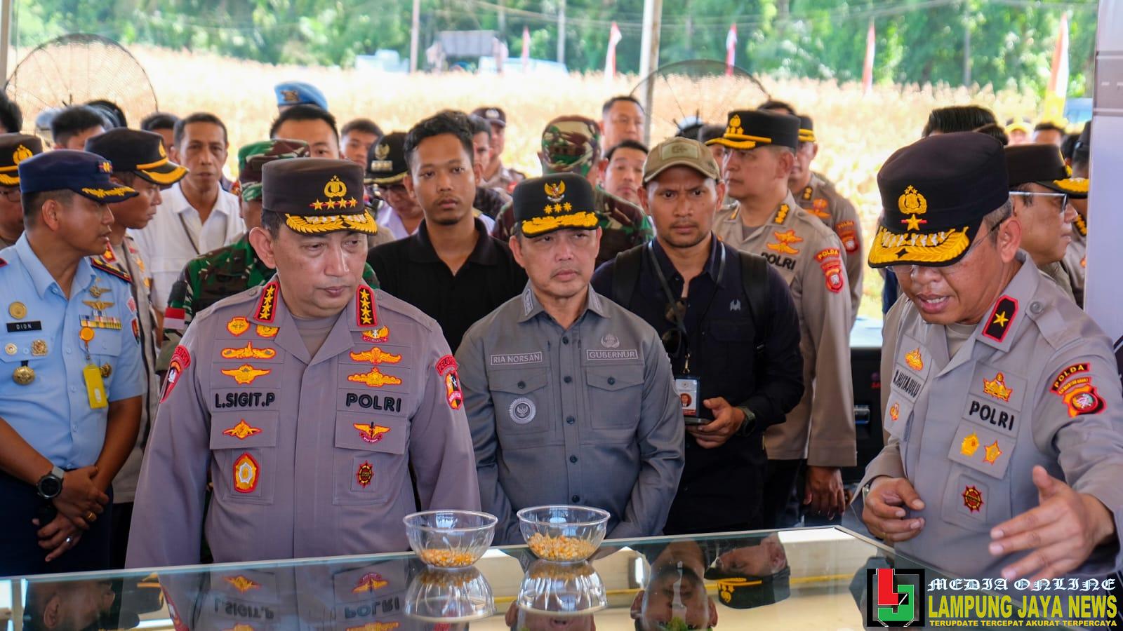 Jelang Panen Raya Jagung, Kapolri Turun Langsung Cek Lokasi Ke Kalimantan Barat