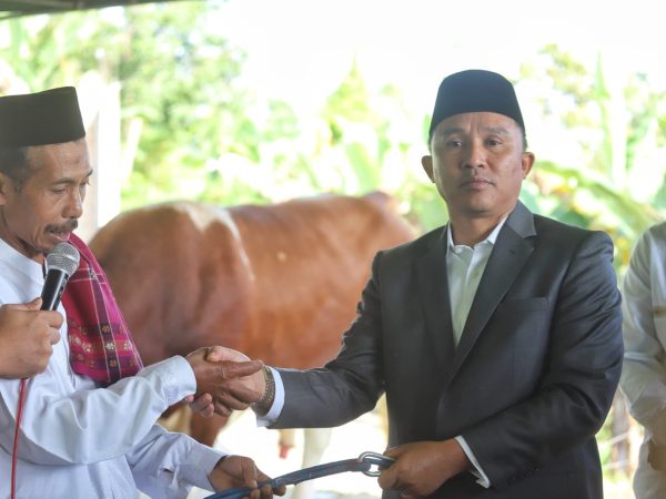 Serahkan Hewan Kurban Presiden Prabowo Subianto, Parosil Minta Ini Jadi Inspirasi Bagi Peternak Lampung Barat Serahkan Hewan Kurban Presiden Prabowo Subianto, Parosil Minta Ini Jadi Inspirasi Bagi Peternak Lampung Barat