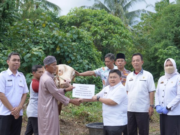 Wakil Bupati Irawan Topani Serahkan 5 Ekor Sapi Kurban Wakil Bupati Irawan Topani Serahkan 5 Ekor Sapi Kurban