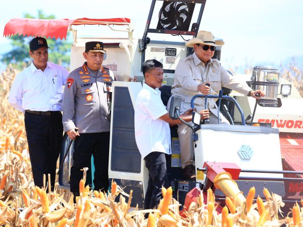 Presiden Prabowo Panen Raya Jagung Bersama Polri Presiden Prabowo Panen Raya Jagung Bersama Polri