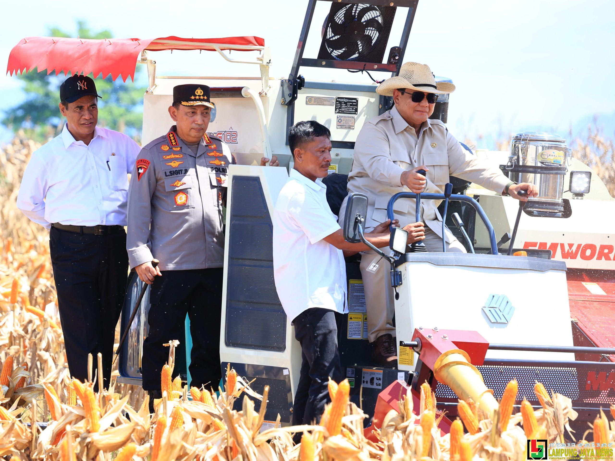 Presiden Prabowo Panen Raya Jagung Bersama Polri Presiden Prabowo Panen Raya Jagung Bersama Polri