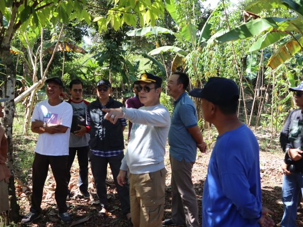 Pj Sekda Tedi Zadmiko Tinjau Calon Lokasi Sekolah Rakyat Pj Sekda Tedi Zadmiko Tinjau Calon Lokasi Sekolah Rakyat