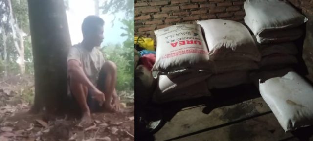 Gapoktan Salun Tanjungan Diduga Jual Pupuk Subsidi di Atas HET, LPM Tubaba : Langgar Aturan!