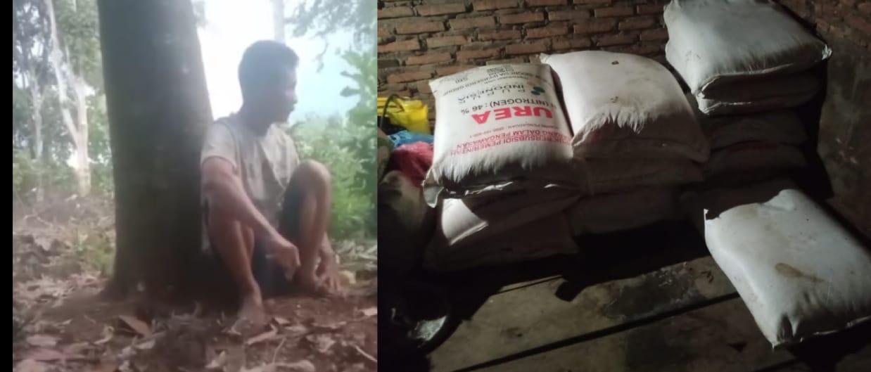 Gapoktan Salun Tanjungan Diduga Jual Pupuk Subsidi di Atas HET, LPM Tubaba : Langgar Aturan! Gapoktan Salun Tanjungan Diduga Jual Pupuk Subsidi di Atas HET, LPM Tubaba : Langgar Aturan!