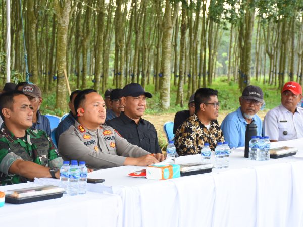 Jajaran Polres Tulang Bawang Barat Tanam Jagung Serentak Dukung Swasembada Pangan 2025 Kuartal III Jajaran Polres Tulang Bawang Barat Tanam Jagung Serentak Dukung Swasembada Pangan 2025 Kuartal III