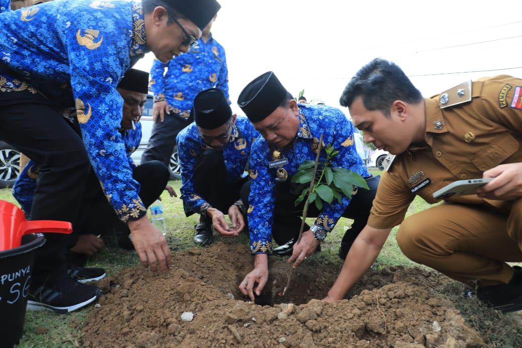 Komitmen Kabupaten Konservasi, Parosil Mabsus Bagikan 240 Pohon Alpukat Siger Komitmen Kabupaten Konservasi, Parosil Mabsus Bagikan 240 Pohon Alpukat Siger