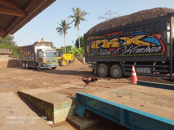 Diduga Langgar Perda, Lapak Singkong di Tumijajar Gunakan Truk Overload