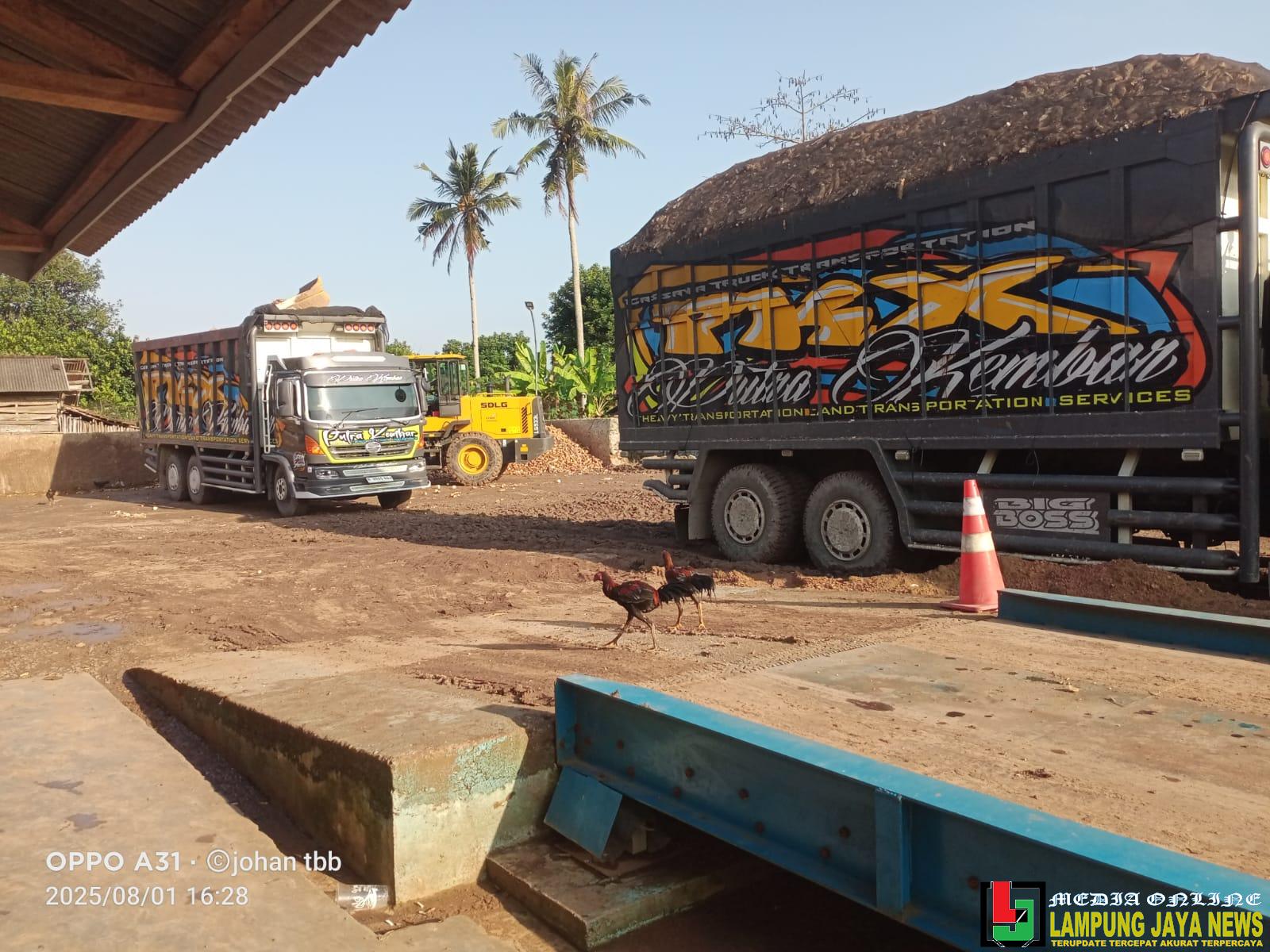 Diduga Langgar Perda, Lapak Singkong di Tumijajar Gunakan Truk Overload