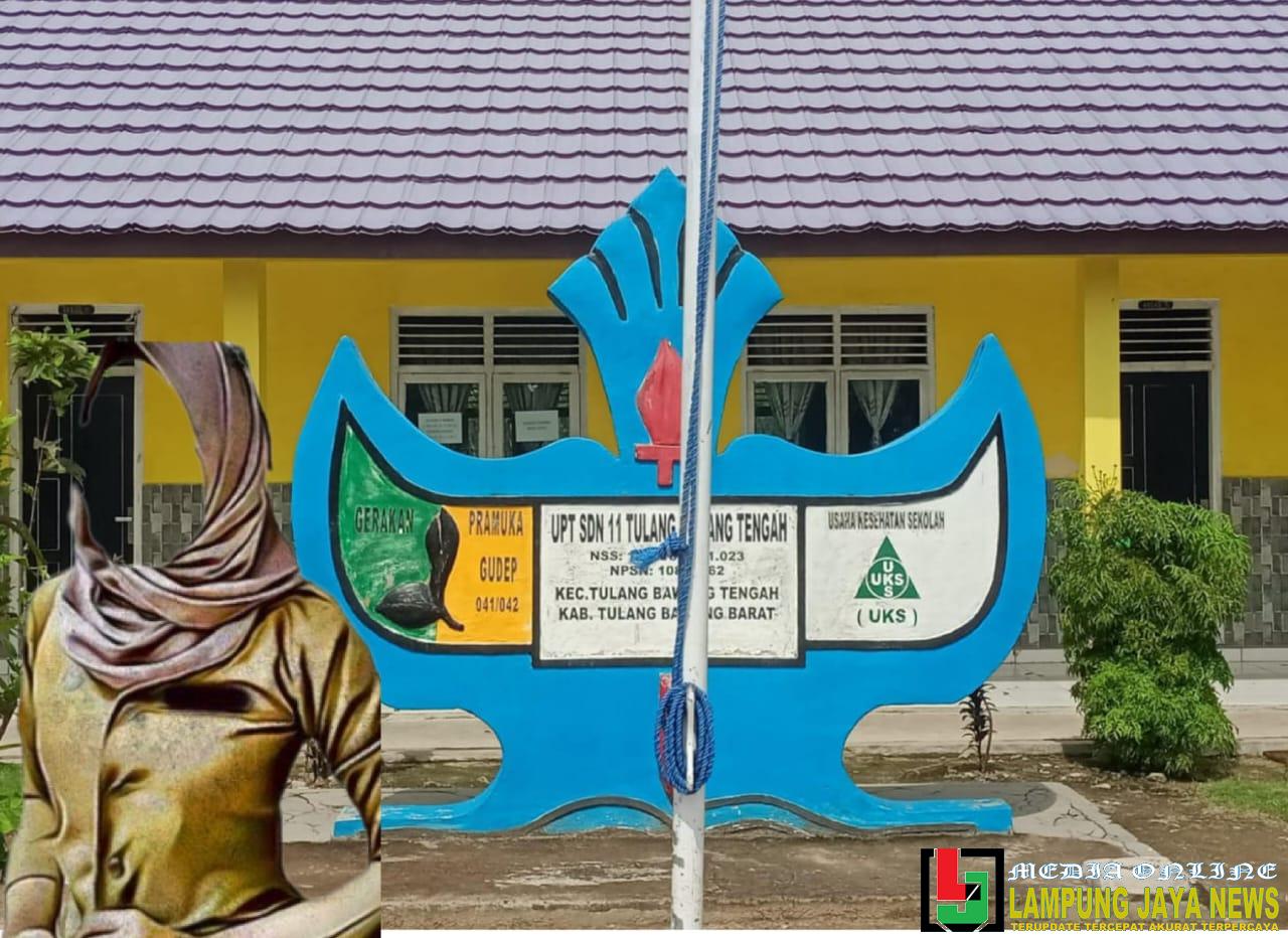Kepala Sekolah SD di Tulang Bawang Tengah Diterpa Isu Dugaan Zina dan Kasus Narkoba, Ini Klarifikasi RA