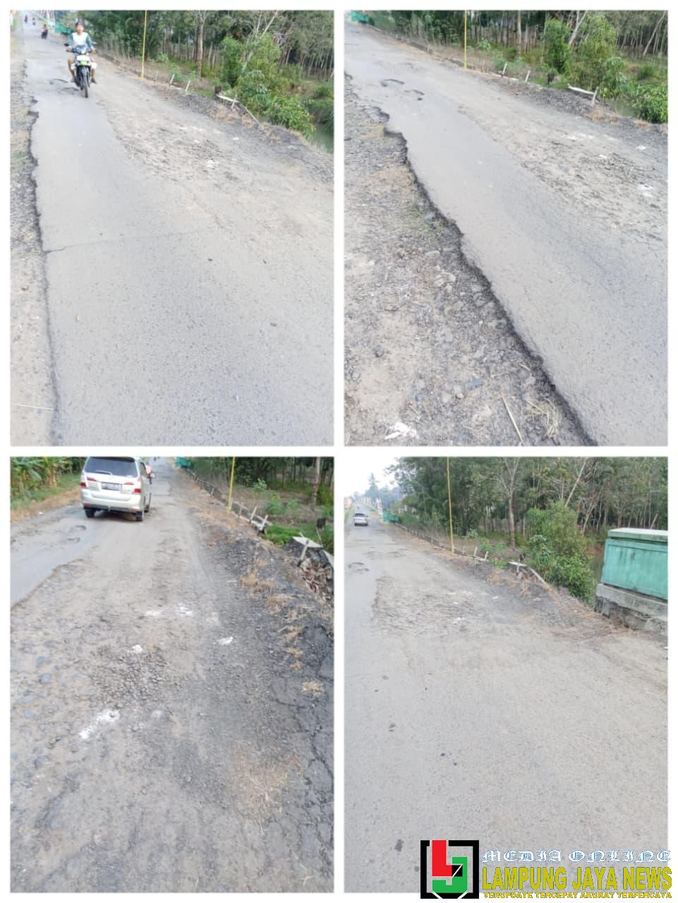 Jalan di Tiyuh Makarti Penuh Lubang, Warga Tuding Truk Singkong Overload