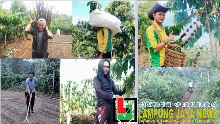Demi Hidup, ‘Duren’ Asal Tubaba Pikul Kopi di Tanah Perantauan Demi Hidup, ‘Duren’ Asal Tubaba Pikul Kopi di Tanah Perantauan