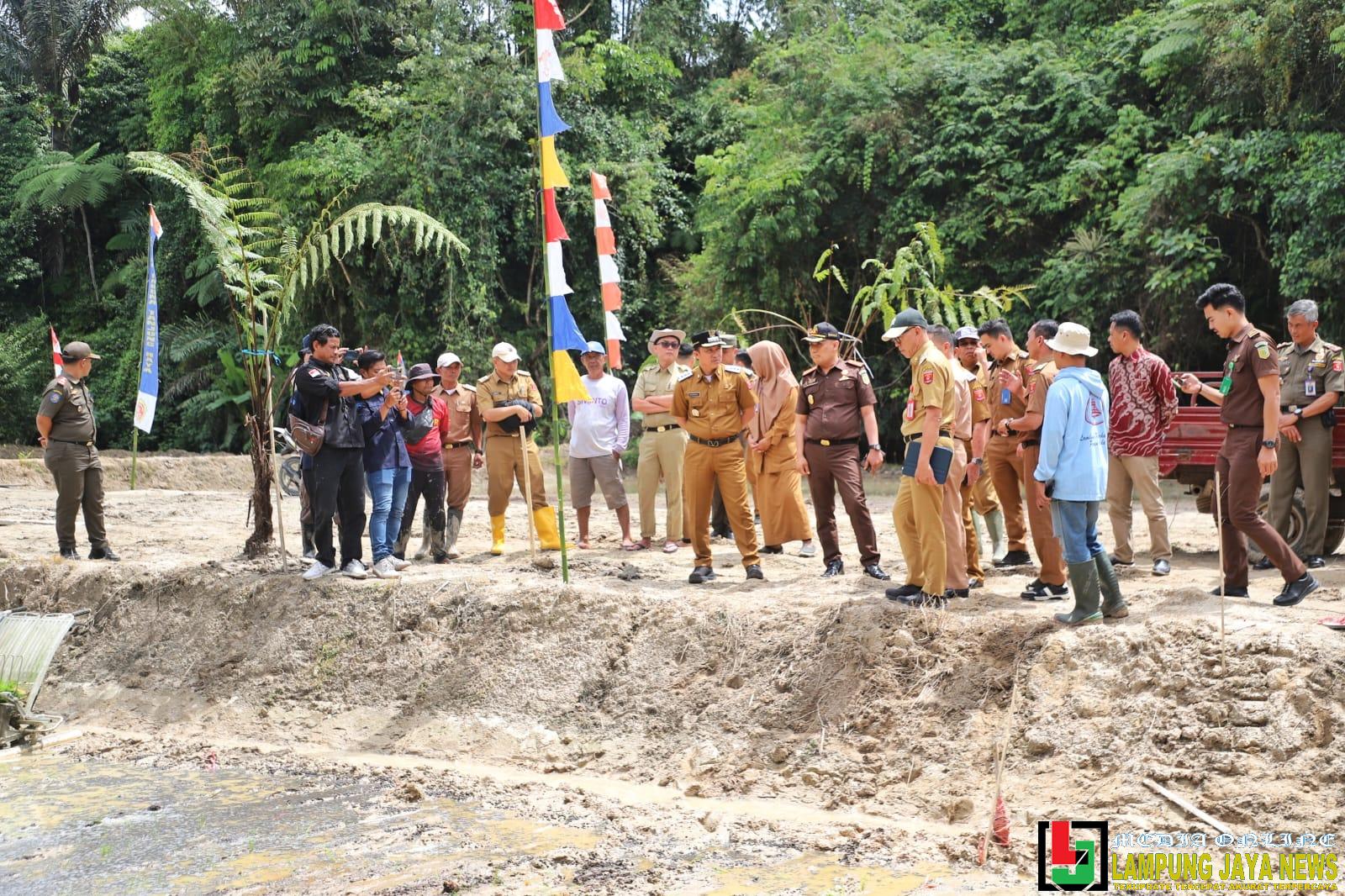 Dorong Program Ketahanan Pangan, Parosil Mabsus Apresiasi Kejari Lambar Manfaatkan Lahan Terbengkalai Dorong Program Ketahanan Pangan, Parosil Mabsus Apresiasi Kejari Lambar Manfaatkan Lahan Terbengkalai