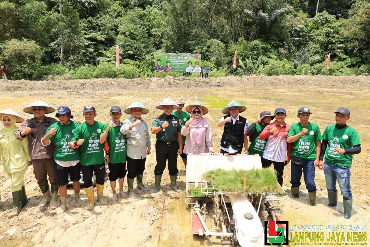 Wujudkan Astacita Presiden Kajati Lampung Bersama Bupati Lambar Tanam Padi Bersama Warga