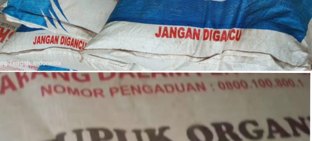 Diduga Ada Permainan Harga Pupuk Bersubsidi di Tiyuh Kagungan Ratu Agung, Petani Menjerit