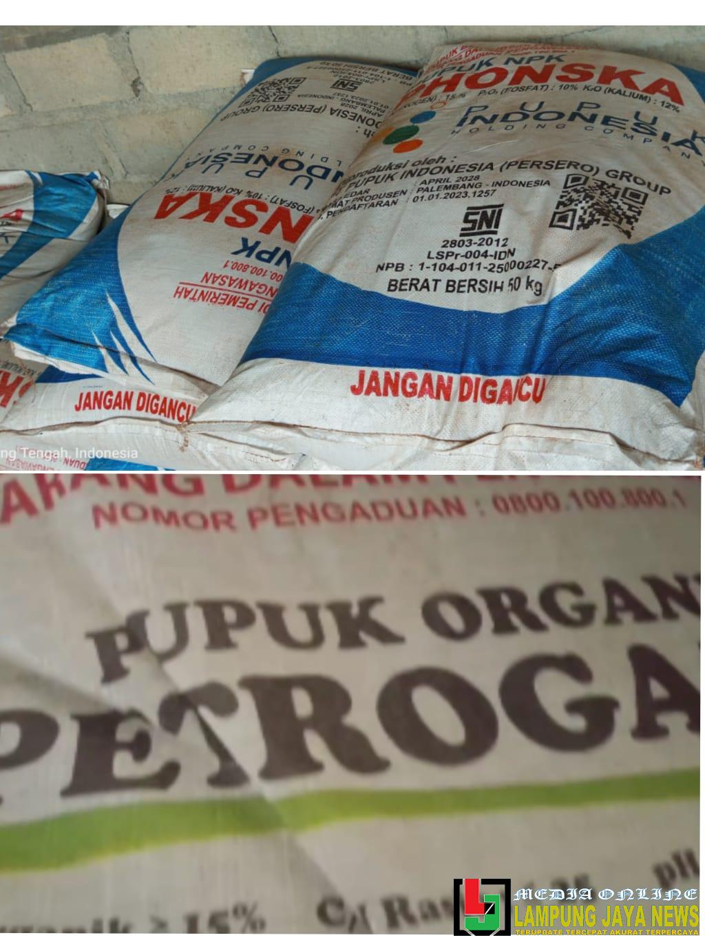 Diduga Ada Permainan Harga Pupuk Bersubsidi di Tiyuh Kagungan Ratu Agung, Petani Menjerit Diduga Ada Permainan Harga Pupuk Bersubsidi di Tiyuh Kagungan Ratu Agung, Petani Menjerit