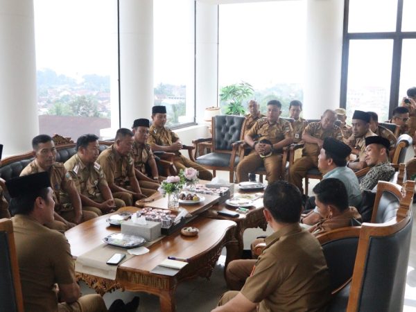 Harmonis, Dua Apdesi Kecamatan Di Pesibar Beraudensi Dengan Bupati Dedi Irawan