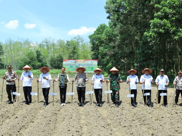 Polres Tulang Bawang Barat Dukung Program Swasembada Pangan Nasional melalui Penanaman Jagung Serentak Kuartal IV Polres Tulang Bawang Barat Dukung Program Swasembada Pangan Nasional melalui Penanaman Jagung Serentak Kuartal IV