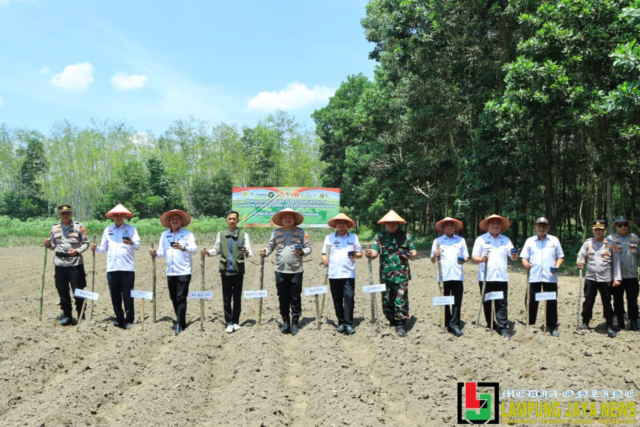Polres Tulang Bawang Barat Dukung Program Swasembada Pangan Nasional melalui Penanaman Jagung Serentak Kuartal IV Polres Tulang Bawang Barat Dukung Program Swasembada Pangan Nasional melalui Penanaman Jagung Serentak Kuartal IV