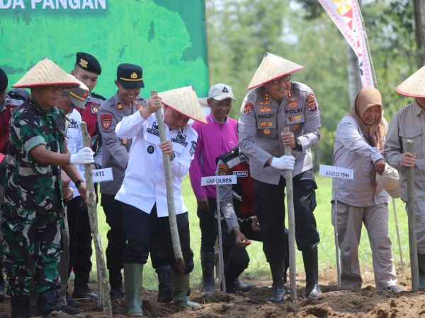 Dukung Penuh Swasembada Pangan Nasional 2025, Wakil Bupati Lampung Barat Hadiri Penanaman Jagung Serentak Oleh Polri