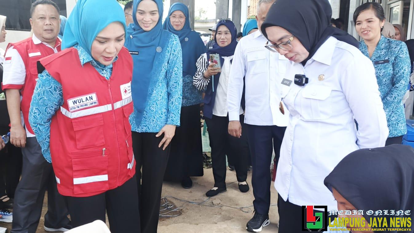 Bersama Bupati Ayu Asalasiyah, Batin Purnama Wulan Sari Ketua PMI Lampung Berikan Bantuan Kursi Roda dan Alat Dengar Untuk Disabilitas Bersama Bupati Ayu Asalasiyah, Batin Purnama Wulan Sari Ketua PMI Lampung Berikan Bantuan Kursi Roda dan Alat Dengar Untuk Disabilitas