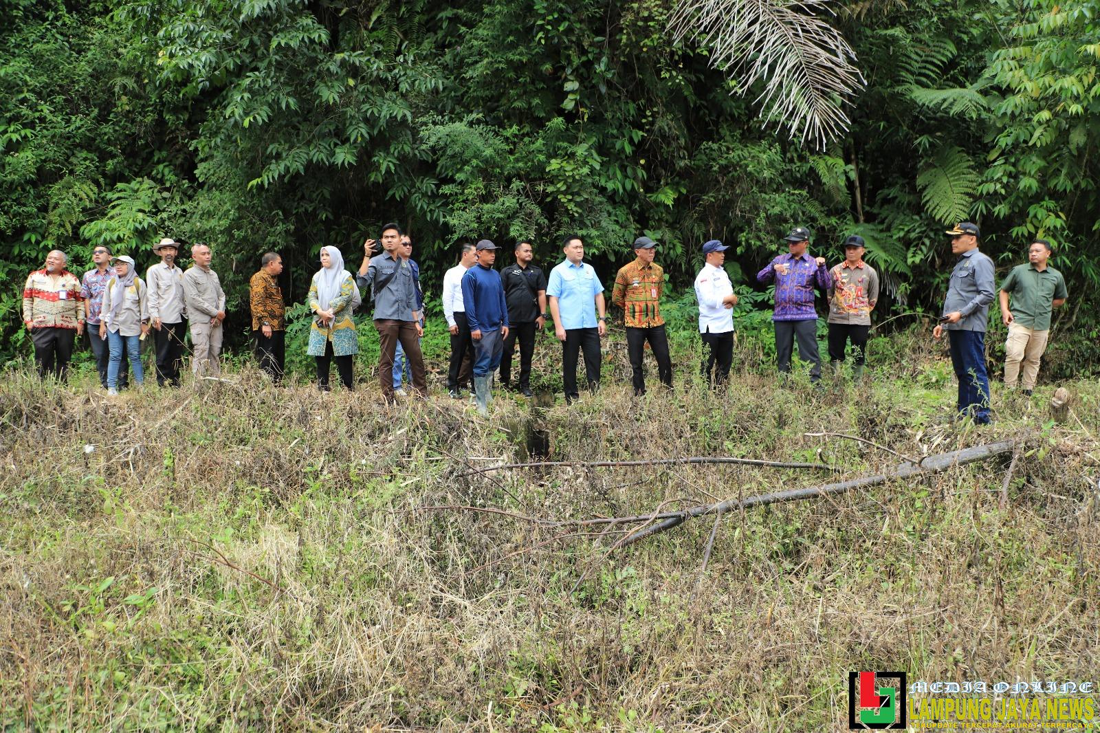 Kejari Lambar Targetkan 2025 Buka lahan Tujuh Hektare Untuk Ketahanan Pangan, Pemerintah Daerah Siap Bersinergi Kejari Lambar Targetkan 2025 Buka lahan Tujuh Hektare Untuk Ketahanan Pangan, Pemerintah Daerah Siap Bersinergi