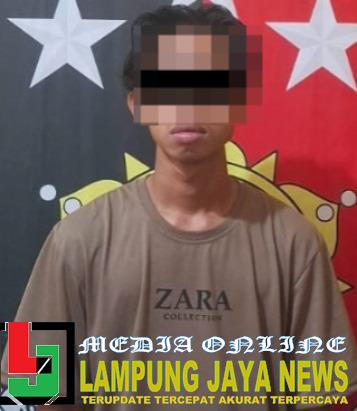 Tekab 308 Polres Way Kanan Amankan Pemuda Asal Sumsel, Diduga Pelaku Pencabulan Anak di Bawah Umur Tekab 308 Polres Way Kanan Amankan Pemuda Asal Sumsel, Diduga Pelaku Pencabulan Anak di Bawah Umur